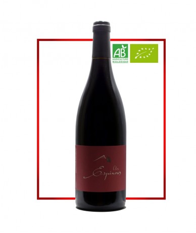 Corbières - Clos Espinous