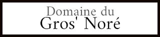 Gros' Noré